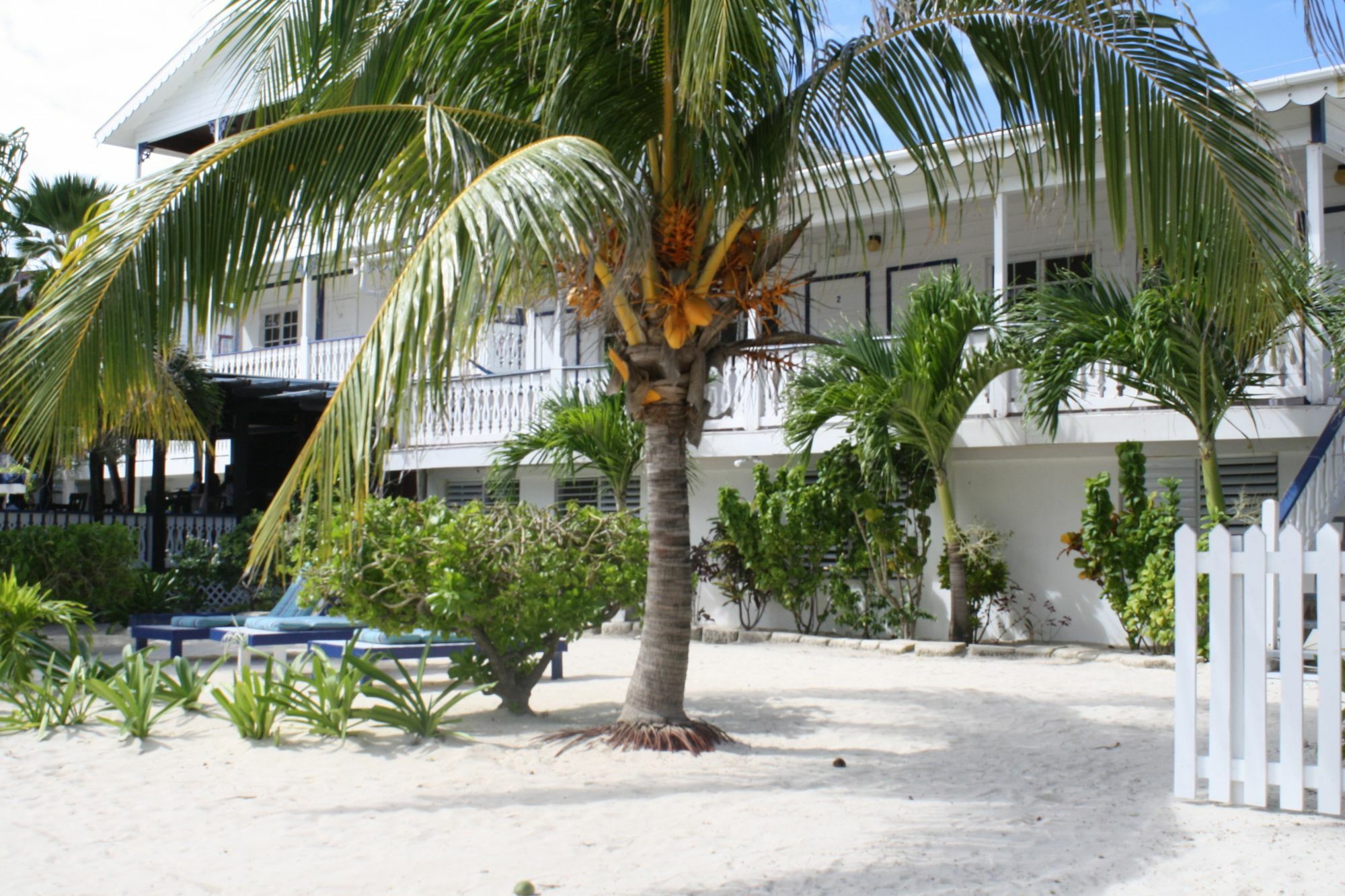Holiday Hotel San Pedro  Ngoại thất bức ảnh