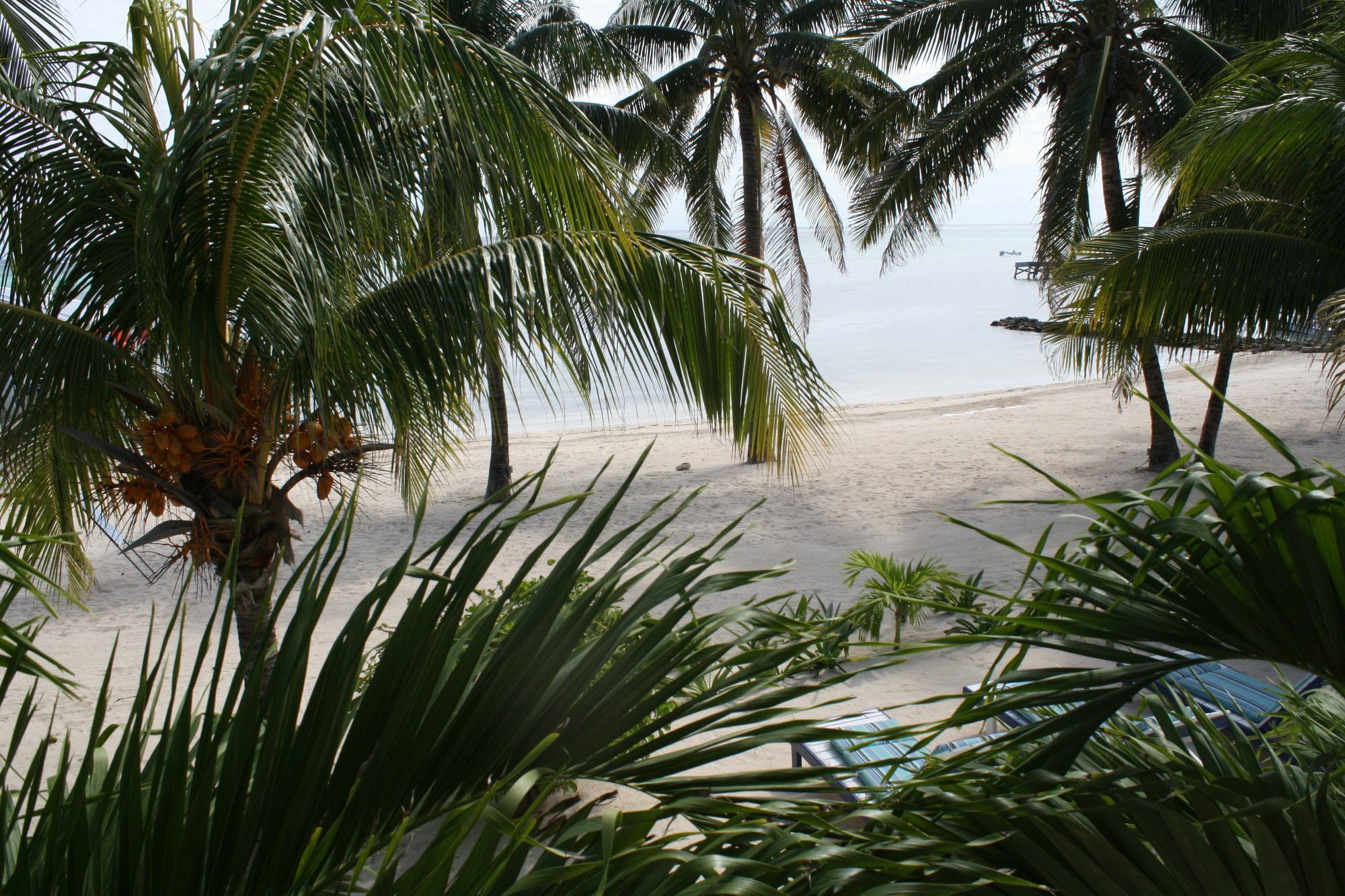 Holiday Hotel San Pedro  Ngoại thất bức ảnh
